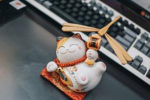 xì tố 8Day